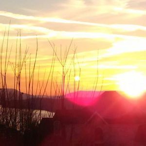 Meet your Posher, Drew